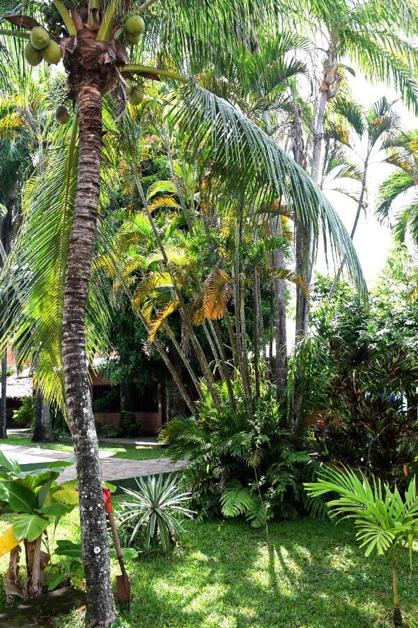 Hotel Ambaibo Rurrenabaque Dış mekan fotoğraf
