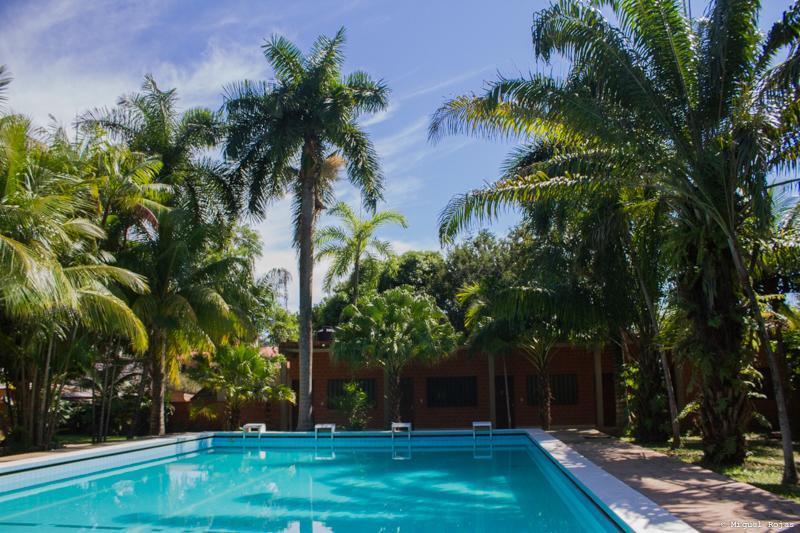 Hotel Ambaibo Rurrenabaque Dış mekan fotoğraf